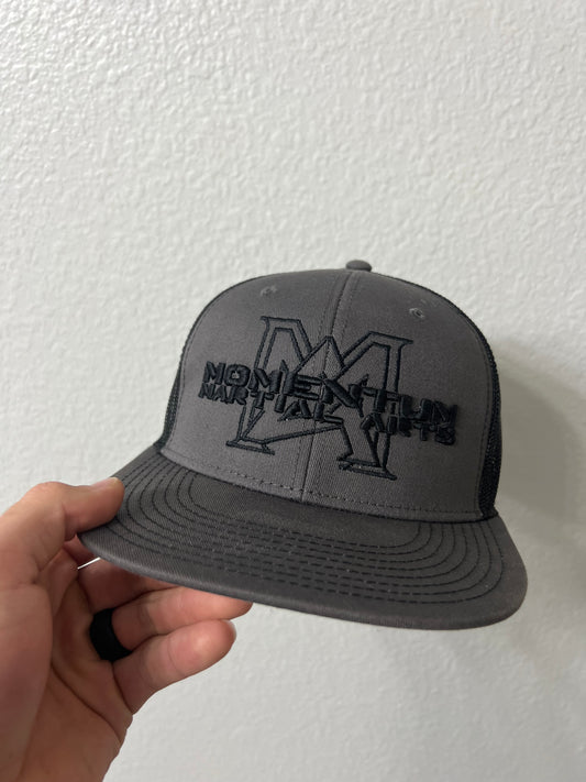 Momentum Hat